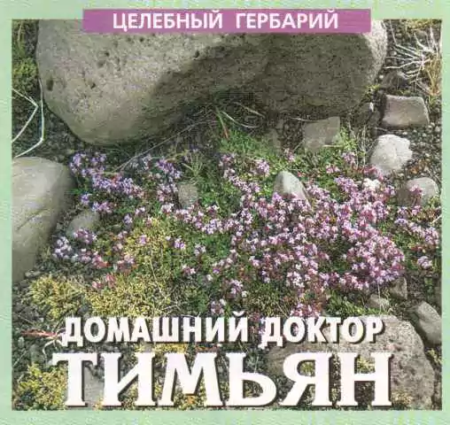 чабрец тимьян ползучий