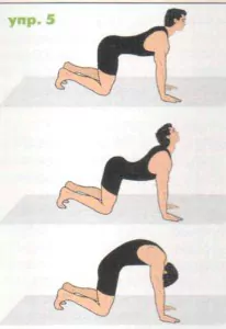 упражнение 5