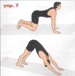 упражнение 7