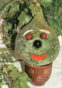 редька